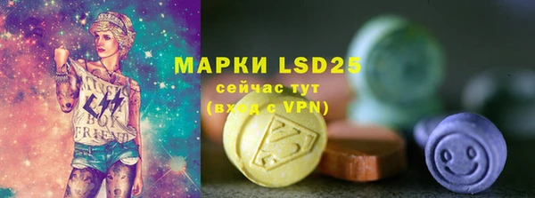 ПСИЛОЦИБИНОВЫЕ ГРИБЫ Дмитров