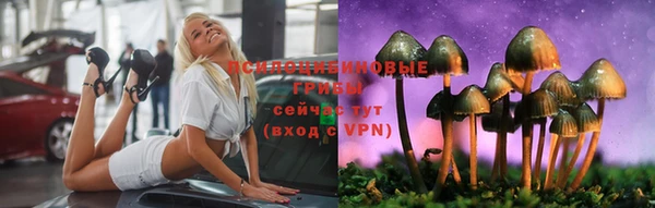 ПСИЛОЦИБИНОВЫЕ ГРИБЫ Дмитров