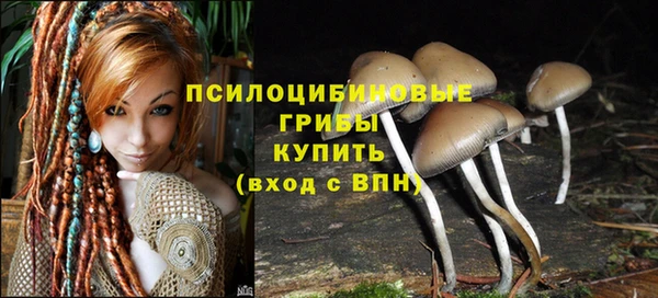 гидра Дмитриев