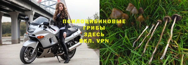ПСИЛОЦИБИНОВЫЕ ГРИБЫ Дмитров