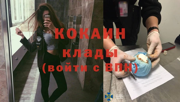 ПСИЛОЦИБИНОВЫЕ ГРИБЫ Дмитров