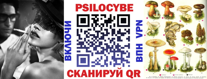 Купить закладки  Пушкино  Галлюциногенные грибы прущие грибы 
